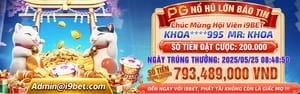 Dịch vụ chăm sóc khách hàng 24/7 tận tâm